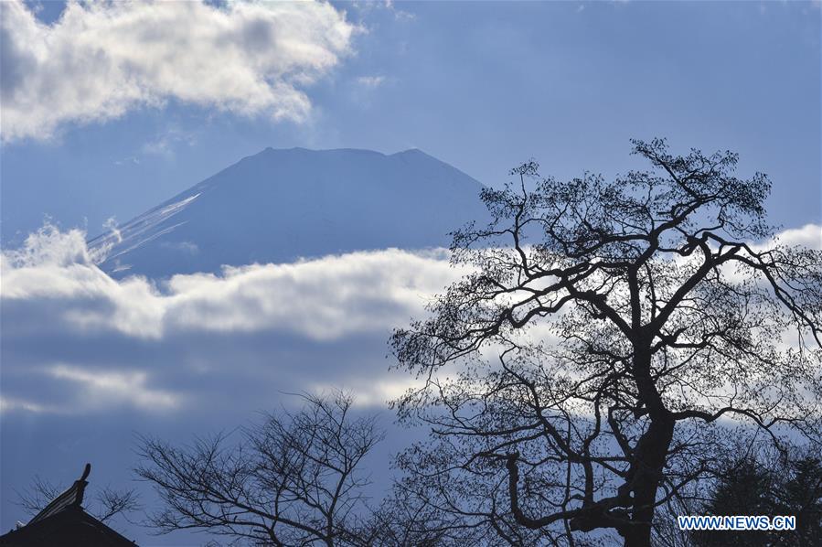 JAPAN-MOUNT FUJI-SCENERY