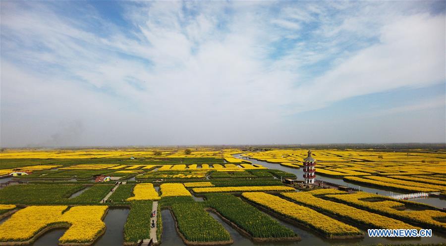 CHINA-JIANGSU-XINGHUA-COLE FLOWERS (CN)