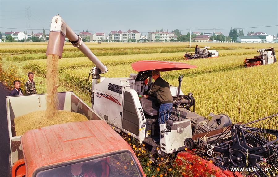 #CHINA-AUTUMN-HARVEST (CN)