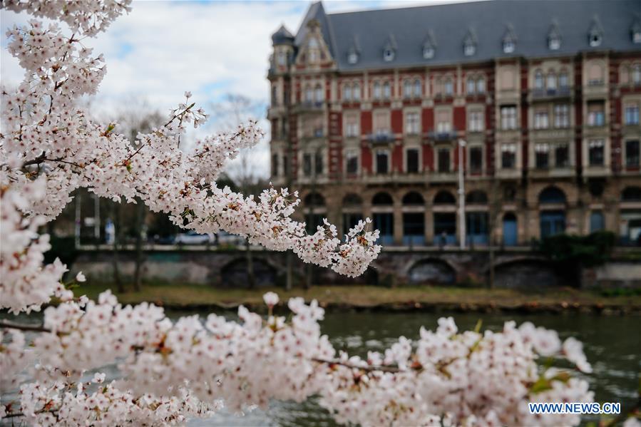 FRANCE-STRASBOURG-SPRING