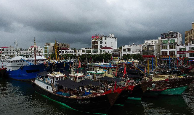 Ferry services on south China strait halted as typhoon approaches