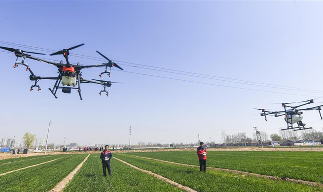 China's rural revitalization strategy promotes rural development