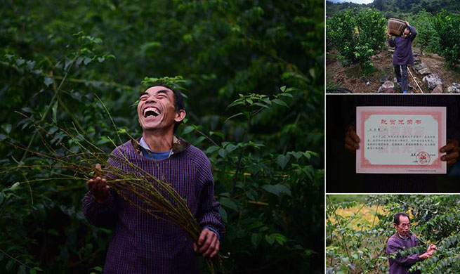 Luzhai County strengthens characteristic industries to reduce poverty