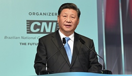 Xi urges business sector's active participation in BRICS cooperation