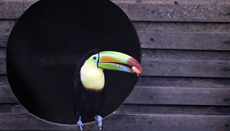 A glimpse into Rosy Walther Zoo during World Wildlife Day