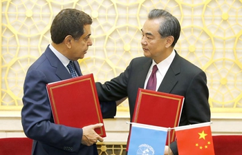 Chinese FM meets high representative for UN Alliance of Civilizations