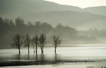 In pics: Nianhu Lake in Huize County, SW China's Yunnan