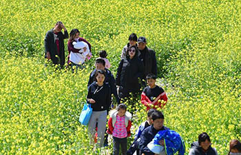 People view cole flowers in Caogang Town, China's Henan