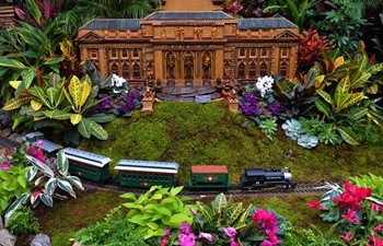 Holiday Train Show held in New York