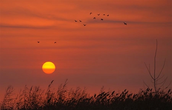 Sunrise in Baiyangdian of Anxin County, Xiongan New Area