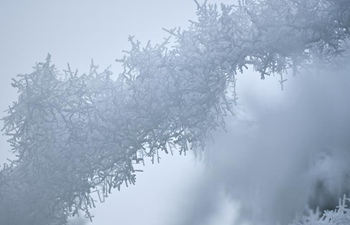 In pics: rime scenery across China