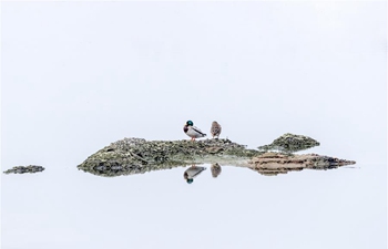 Scenery of China's Shanxi Xiaohe National Wetland Park