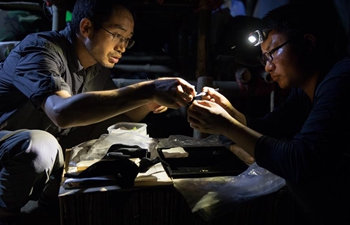 China-Myanmar joint field expedition does researches on biodiversity of Tamanthi Wildlife Sanctuary in Myanmar