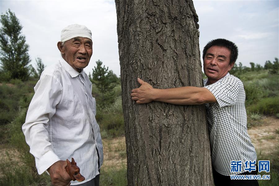 （壮阔东方潮 奋进新时代——庆祝改革开放40年）（11）感受“毛乌素”的生机