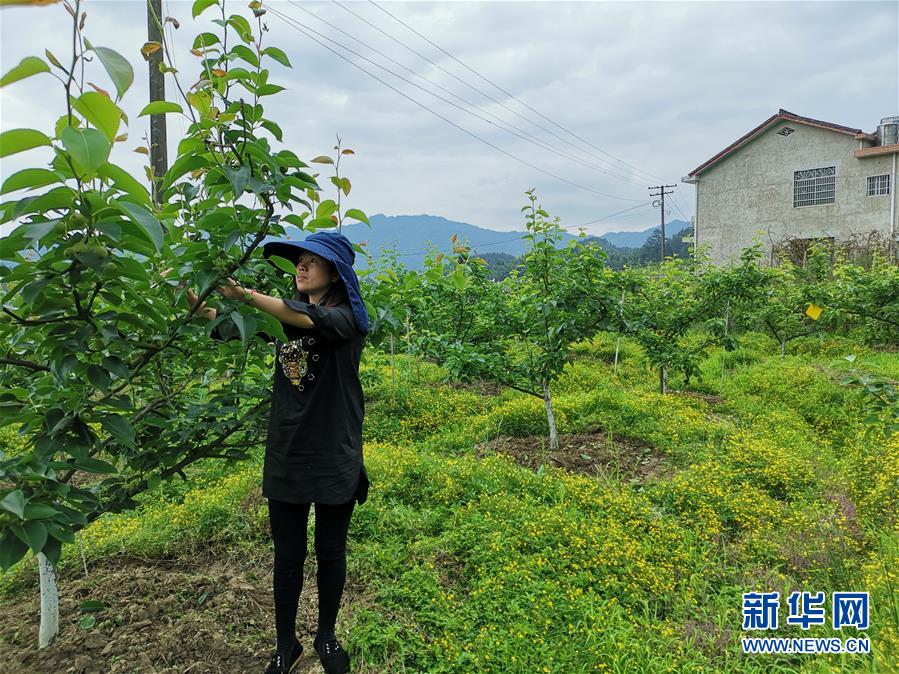 （壮丽70年·奋斗新时代·图文互动）（1）县域经济强县的“扶贫经”——来自湖南浏阳市的脱贫攻坚调查