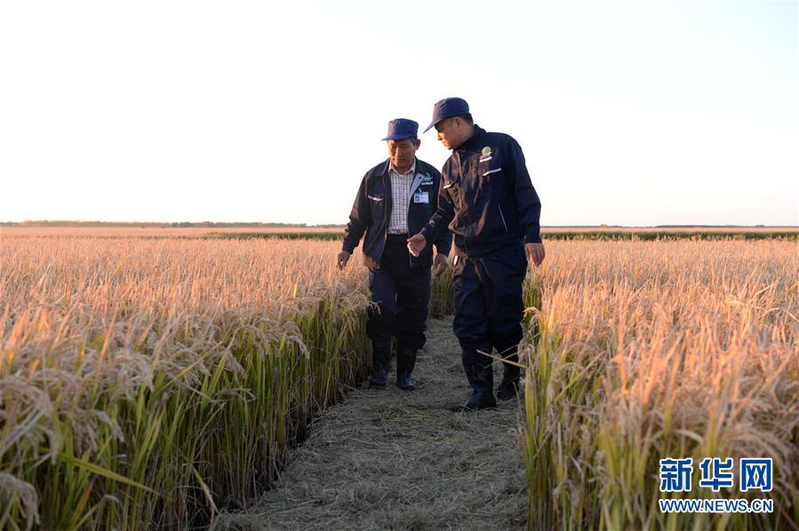 （新华全媒头条·图文互动）（2）奋力书写东北振兴的时代新篇——习近平总书记调研东北三省并主持召开深入推进东北振兴座谈会纪实