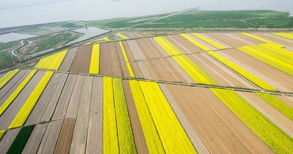 航拍武汉大地春色 神秘图案引人遐想