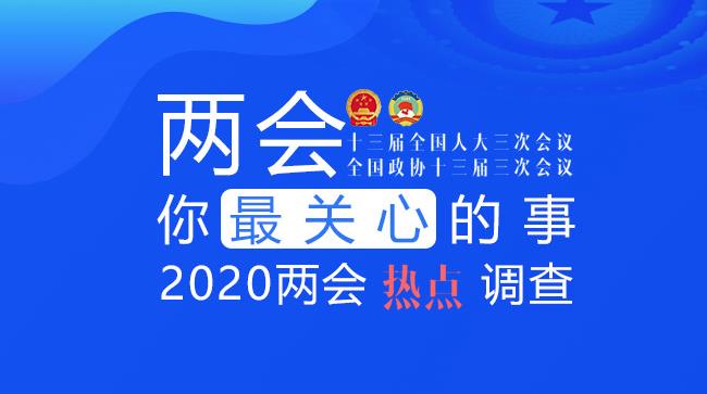 2020年两会热点调查