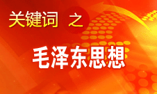 王伟光：毛泽东思想永远是党的指导思想