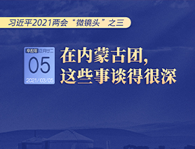 习近平2021两会“微镜头”之三 3月5日 在内蒙古团，这些事谈得很深