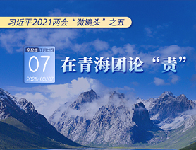 习近平2021两会“微镜头”之五：3月7日 在青海团论“责”